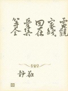 等爱回家电视剧全集在线观看免费