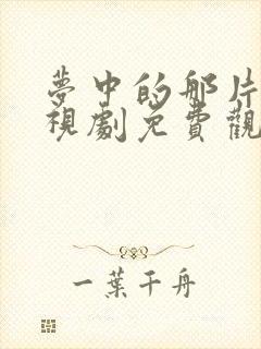 梦中的那片海电视剧免费观看星辰影院