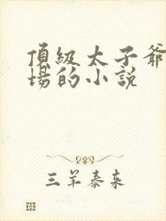 顶级太子爷混官场的小说