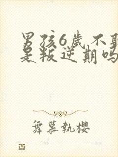 男孩6岁不听话是叛逆期吗