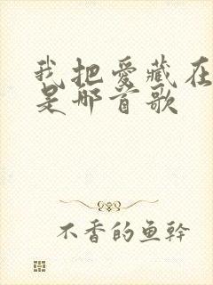 我把爱藏在心里是哪首歌封面