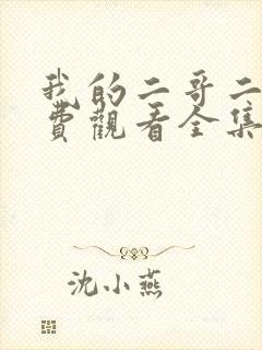 我的二哥二嫂免费观看全集电视剧