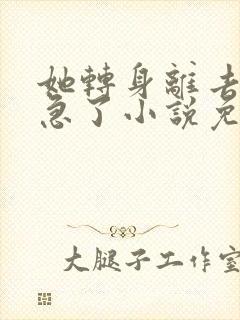 她转身离去,我急了小说免费阅读