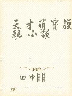 天才萌宝腹黑娘亲 小说