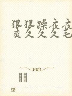 狠狠躁夜夜躁人爽久久久毛片av