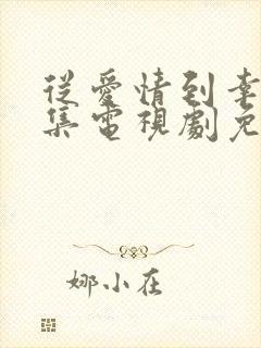 从爱情到幸福全集电视剧免费观看封面