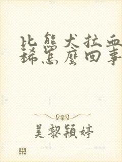 比熊犬拉血又拉稀怎么回事