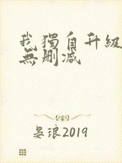 我独自升级动漫无删减