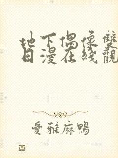 地下偶像双男主日漫在线观看第一季封面