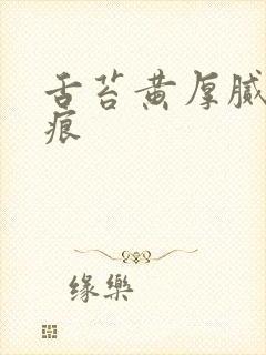 舌苔黄厚腻有齿痕