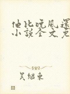 他比晚风还温柔小说全文免费阅读