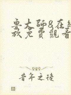 鲁大师8在线播放免费观看电视剧