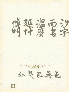 傅延温南汐小说叫什么名字封面