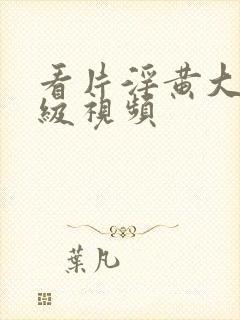 看片淫黄大片一级视频