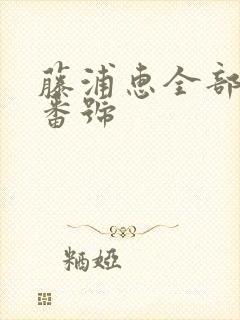 藤浦惠全部封面番号