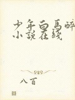 少年白马醉春风小说在线