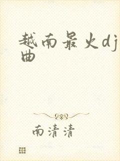 越南最火dj舞曲