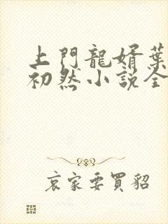 上门龙婿叶辰萧初然小说全集