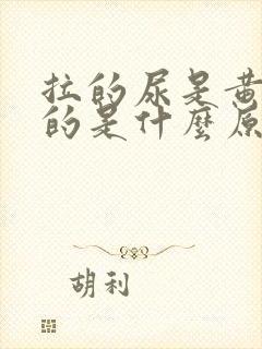 拉的尿是黄绿色的是什么原因