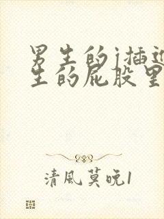 男生的j插进女生的屁股里