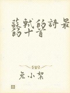 苏轼的诗最经典的十首