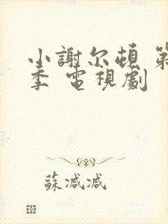 小谢尔顿 第一季 电视剧