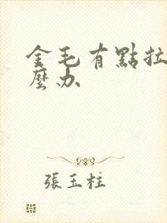 金毛有点拉稀怎么办