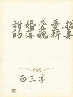 甜婚袭爱,总裁的落魄新妻