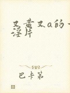 又黄又a的一级淫片封面