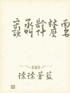 宋承龄林南薇小说叫什么名字