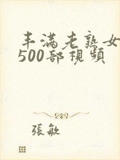 丰满老熟女乱淫500部视频