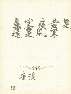 鼻塞痰黄是风热还是风寒