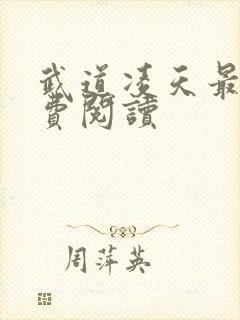 武道凌天最新免费阅读