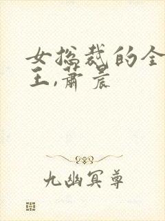 女总裁的全能兵王,萧晨