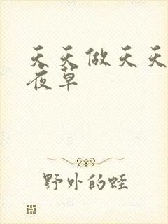 天天做天天爱夜夜草
