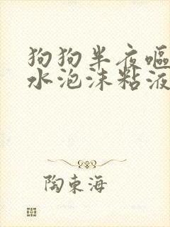 狗狗半夜呕吐黄水泡沫粘液怎么办