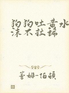 狗狗吐黄水带泡沫不拉稀