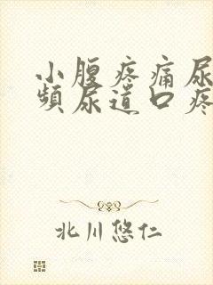 小腹疼痛尿痛尿频尿道口疼尿道疼封面