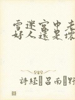 雪迷宫中老舅是好人还是坏人