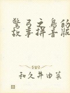 惊弓之鸟的寓言故事拼音版