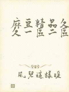 麻豆精品久久久久一区二区三区