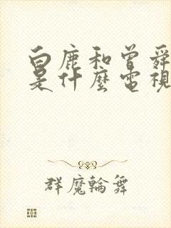 白鹿和曾舜演的是什么电视剧