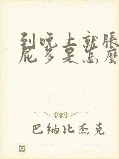 到晚上就胀肚子屁多是怎么回事