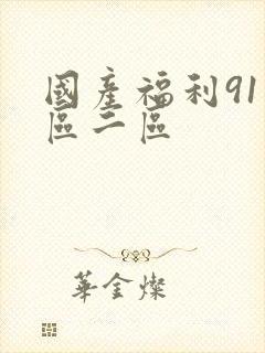 国产福利91一区二区