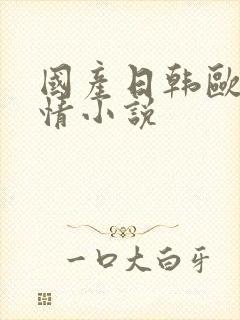 国产日韩欧美激情小说封面