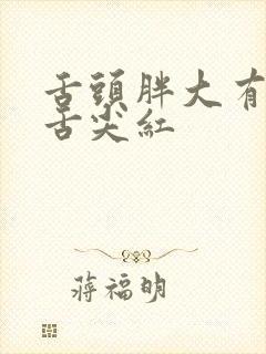 舌头胖大有齿痕舌尖红