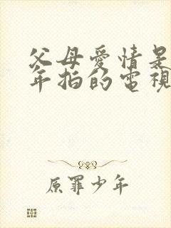 父母爱情是哪一年拍的电视剧