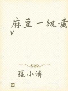 麻豆一级黄色av封面