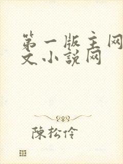 第一版主网站辣文小说网封面