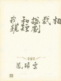 我和总裁相了个亲短剧